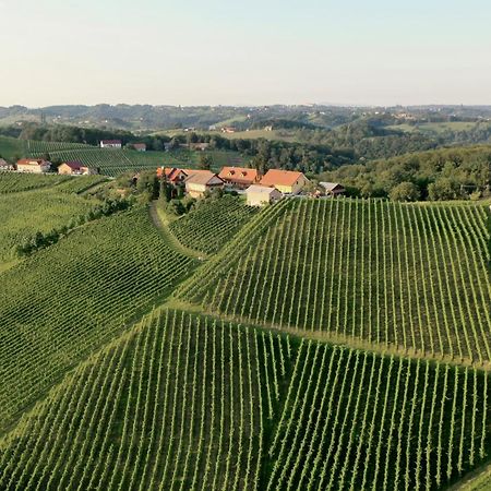 Wine & Tourism Bracko Spodnji Jakobski Dol Exterior foto