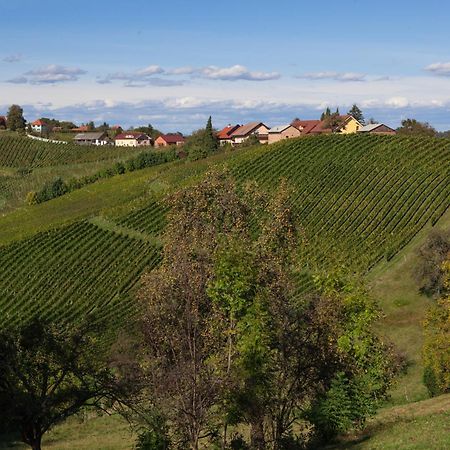 Wine & Tourism Bracko Spodnji Jakobski Dol Exterior foto