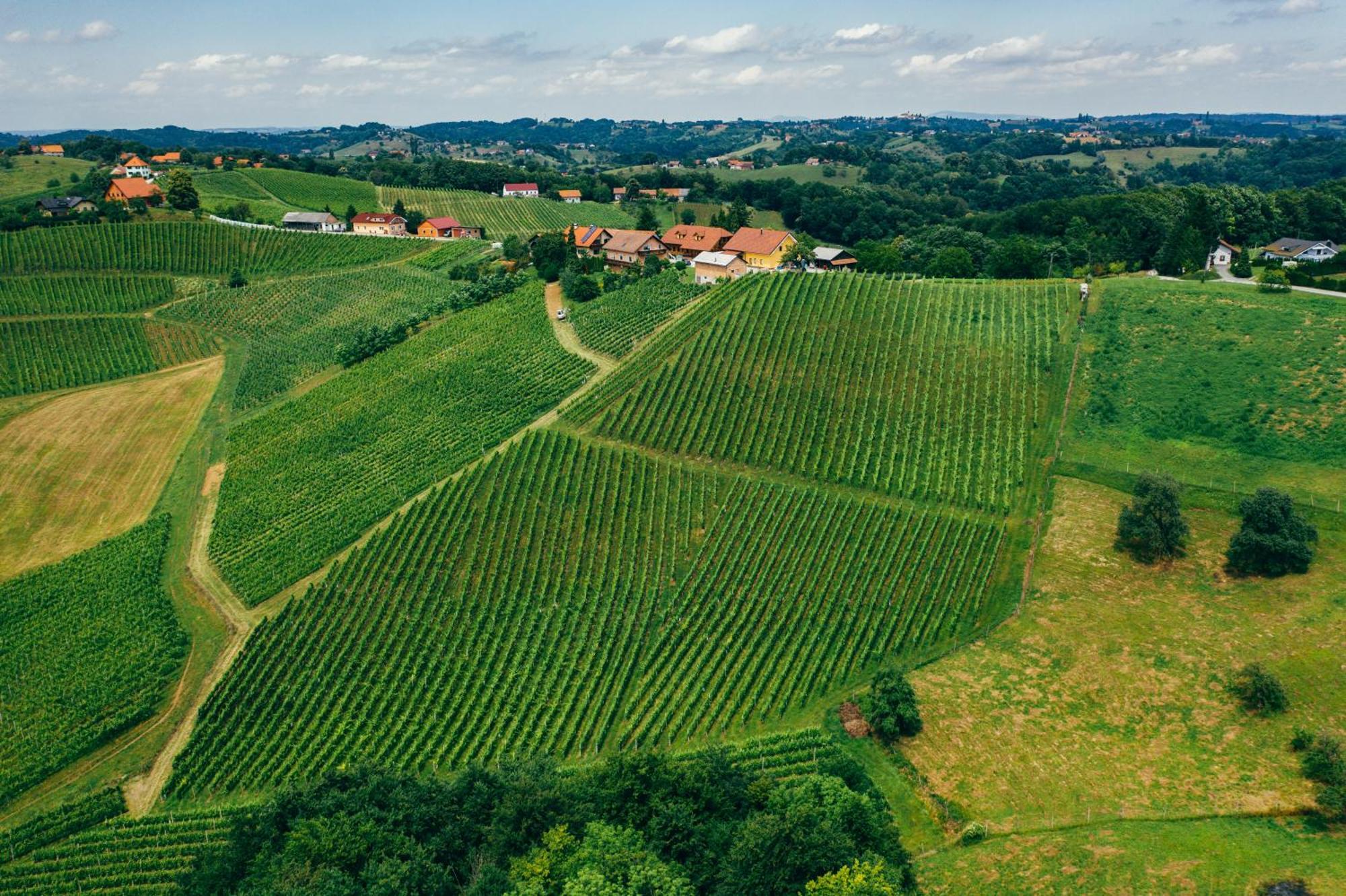 Wine & Tourism Bracko Spodnji Jakobski Dol Exterior foto