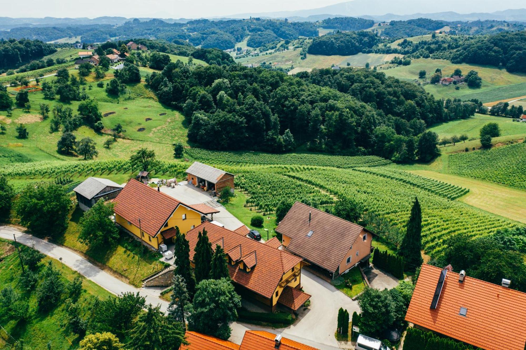 Wine & Tourism Bracko Spodnji Jakobski Dol Exterior foto